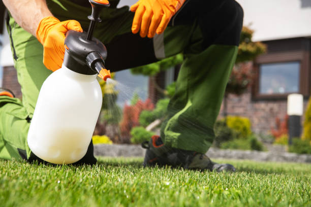 Professional Pest Control in Bradfordville, FL