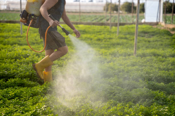 Best Pest Prevention Services  in Bradfordville, FL